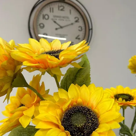 Castel Di Sangro Suite Apartment Holiday home *