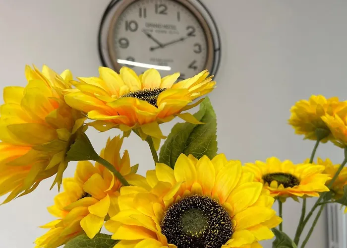 Castel Di Sangro Suite Apartment Tatil Evi *